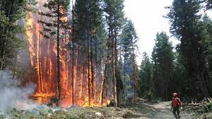 Researchers at the university of british columbia are using drones to survey the aftermath of the 2017 wildfires in b.c. Remembering 2017 Province Of British Columbia