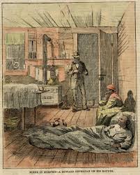 Image result for Yellow Fever