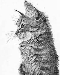 Lovecats Dieren Tekenen Katten Tekening Kunst Ideeen Tekenen