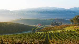 Paso Robles CA named one of 25 coolest towns in U.S. | San Luis Obispo  Tribune