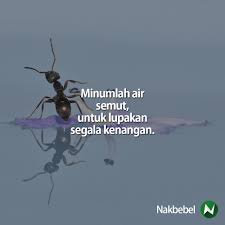 Mulai dari cara menghapus pesan yang sudah terkirim. Cara Nak Lupakan Seseorang