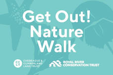 Get Out! Nature Walk: Shorebirds and Coastal Habitats
