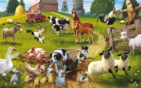 Shop For Farmers Love Animals Cow Cat Pig Chicken Goat Horse Sheep Dog Animals Animal Wallpaper Farm Animals