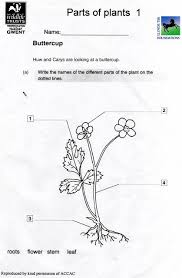 A speaking exercise and crossword to revise the jobs featured in essential sciences plus 2, unit 4. Pin On Roman Numerals