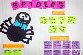 Spider Informational Text Activities