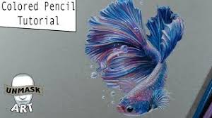 Colored Pencil Betta Fish Tutorial Youtube How to draw fish and coloring fish under water for kids | how to color a boat on sea: colored pencil betta fish tutorial