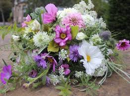 Check spelling or type a new query. Cloudberry Flowers Blog Flower Growing In Peebles In The Scottish Borders Https Cloudberryflowers Co Uk