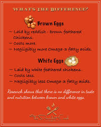 So, the next time you want to know how many calories in an egg. Brown Eggs Vs White Eggs