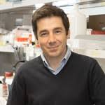 CAHR 2025 Online Agenda