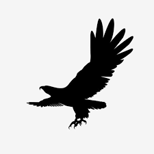 Soaring Eagle Black Silhouette Vector Illustration Soaring Eagle Silhouette Png And Vector With Transparent Background For Free Download Silhouette Png Black Silhouette Vector Illustration