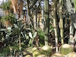 Botanischer garten kapstadt botanischer garten berlin, der garten, botanischer garten munich, botanischer suche garten in magdeburg. Sehenswurdigkeiten