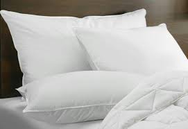Bantal ini terbuat dari bahan katun dan hiasan dari bahan flanel dan isi bantal full dakron. Khusus Bantal Guling Silikon Silicon 100 Bukan Dakron Bantal Hotel Shopee Indonesia