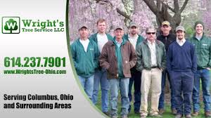 You'll need to keep the course in good shape and ensure it's appealing to players. Wright S Tree Service Llc Video Tree Services In Columbus Youtube