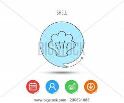 Sea Shell Icon Vector Photo Free Trial Bigstock