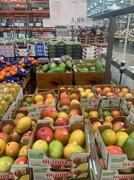 We did not find results for: Vacation Inspired Groceries From Costco July 2020 Kitchn
