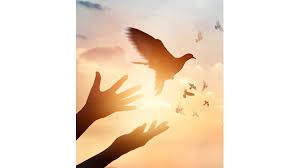 Tara Wildman Obituary