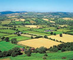 Image result for Agricultural Yellow 2000 Fleet