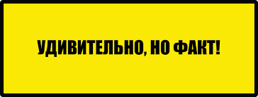 Удивительно, но факт