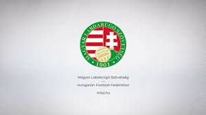 Négy nap egy könyvelő életéből. Mlsz Szovetseg Ulesezett Az Elsofoku Licencado Bizottsag