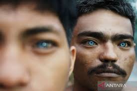 Fenomena mata biru Suku Buton