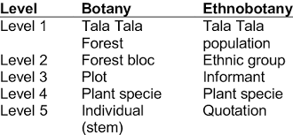 Image result for Trachyphrynium braunianum