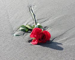 Chester Dewey “Chet” Craddock (1948-2013)