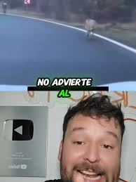 Rescate de Ciclista de un Lobo en Rusia