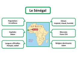 He served as minister of foreign affairs from 2011 to 2015 in the cabinet of prime minister stephen harper.he had been a member of the federal cabinet, in various positions, since 2006. Francophone Countries Quiz Worksheets Teaching Resources Tpt