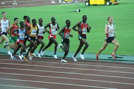 Am ende des tages, im letzten wettkampf zeigte dann der junge carsten schlangen einen 1500 meter lauf, mit dem keiner gerechnet hatte. 5000 Meter Lauf Wikipedia
