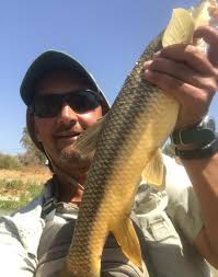 An afternoon with Johan Terblanche