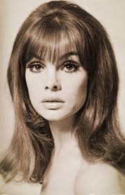 jeanshrimpton