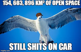 Online, the image has been used as a things i don't like exploitable, as well as a reference to nope situations. Image Tagged In Bird Seagull Shit Scumbag Imgflip