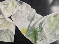 Fabric Printing with Nature
