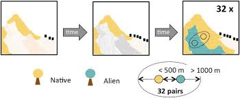 Nematode diseases are difficult to control because of their hidden nature and hence, more often overlooked. The Invasion Of Abandoned Fields By A Major Alien Tree Filters Understory Plant Traits In Novel Forest Ecosystems Scientific Reports