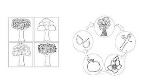 Apfelfaltbuch Apfel Grundschule