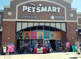 Nash county, rocky mount, nc id: Petsmart Adoption Event Saturday February 15th Patterson Place Durham Nc Fine Whines And Lickers