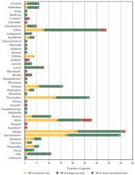 Image result for Equilabium petiolare