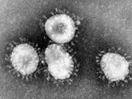 It was first identified in december 2019 in wuhan,. Coronavirus Latest News From Berlin Berlin De