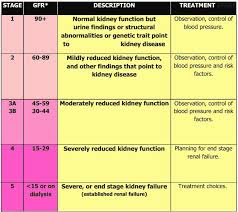 There are five stages of kidney disease. Cat Kidney Failure Stages Cat And Dog Lovers