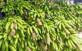 5 sistem pemasaran hasil pertanian adalah suatu kompleks sistem dalam berbagai subsistem yang. Aokl7tb Dop2em