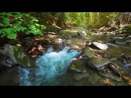 Musicas Para Dormir E Relaxamento Flauta Indigena E Sons Da Natureza Youtube Relaxing Music Nature Sounds Pan Flute