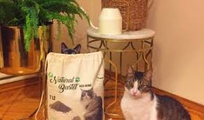 Ever Clean Kedi Kumu Yorum Inceleme Suzionline