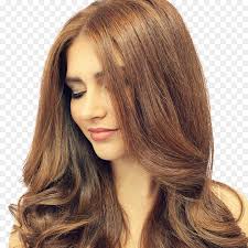 4) castano scuro e sfumature calde. Layered Capelli Marrone Cioccolato Per Capelli Colorazione Dei Capelli Cioccolato Scaricare Png Disegno Png Trasparente Capelli Png Scaricare