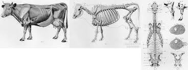 「http://cleptestreview.com/node/ ransom」的圖片搜尋結果