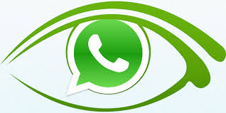Whatsapp windows 2.2114.8.0 is available to all software users as a free download for windows. Download Whatsapp App Free Download Whatsapp Messenger All Device Download Whatsapp App Create Whatsapp Account