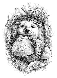 http crosti ru patterns 00 0c 8c c572a26cc6 d0 a7 d1 83 b4 bd 8b b9 20 91 b6 b8 b herisson dessin coloriage animaux coloriages panoramix