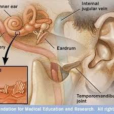 What Does It Mean When Your Ears Ring Ehow Tinnitus Remedies Tinnitus Symptoms The Cure