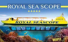 Account Suspended Sharm El Sheikh Aswan Sea Resort