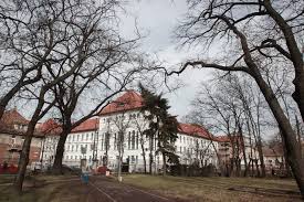 Maybe you would like to learn more about one of these? SoÈ›ul È™efei Inspectoratului De Stat In ConstrucÈ›ii TimiÈ™ Contracte Cu PrimÄƒria TimiÈ™oara Cum A RecÈ›ionat Cand A Fost IntrebatÄƒ Despre Un Posibil Conflict De Interese