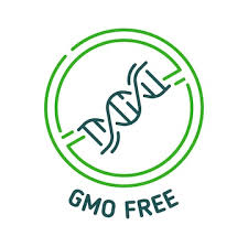 Icono libre de OGM y signo para etiqueta de producto no modificado genéticamente insignia vectorial Icono verde de bioalimentos orgánicos y naturales libres de OGM con símbolo de ADN sello de productos